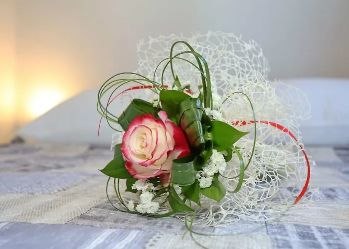 Two New By The Town Center Задар